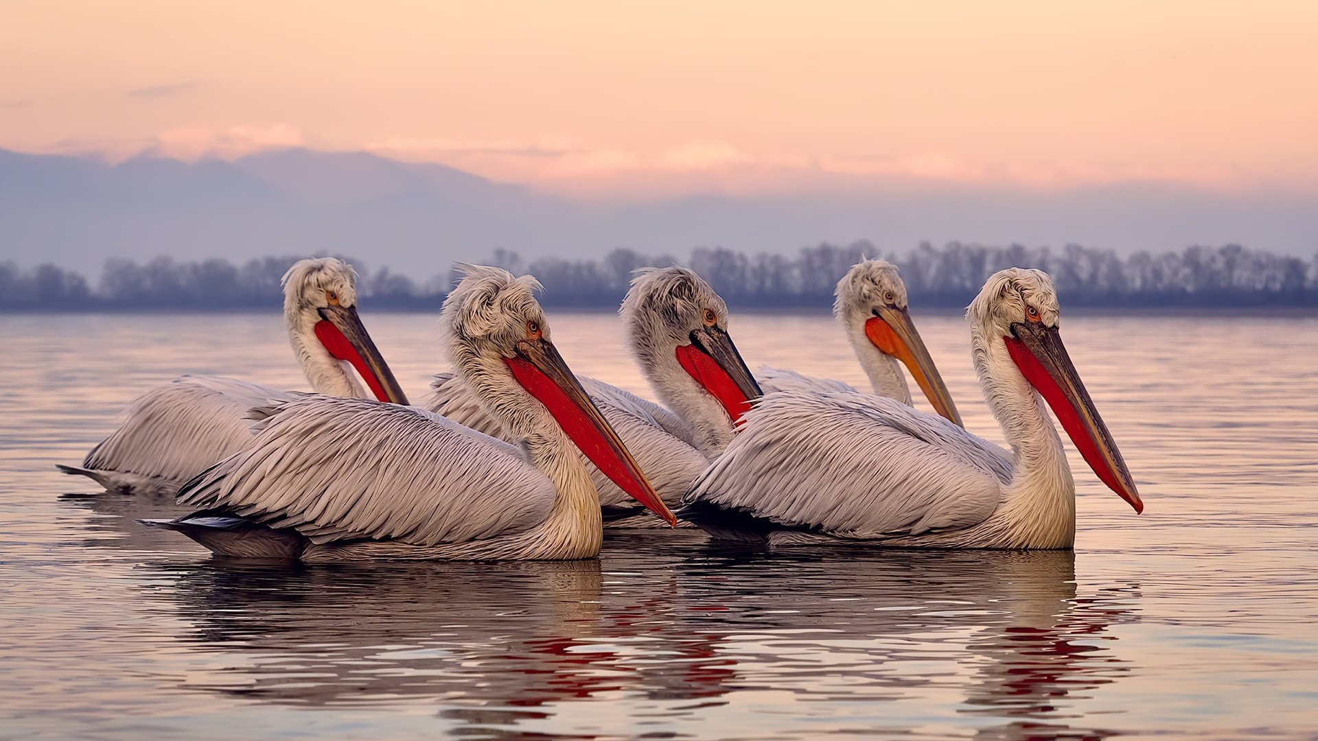 开云体育app-人类创造力的双重奏，当F1终极决战遇见库里神迹之夜