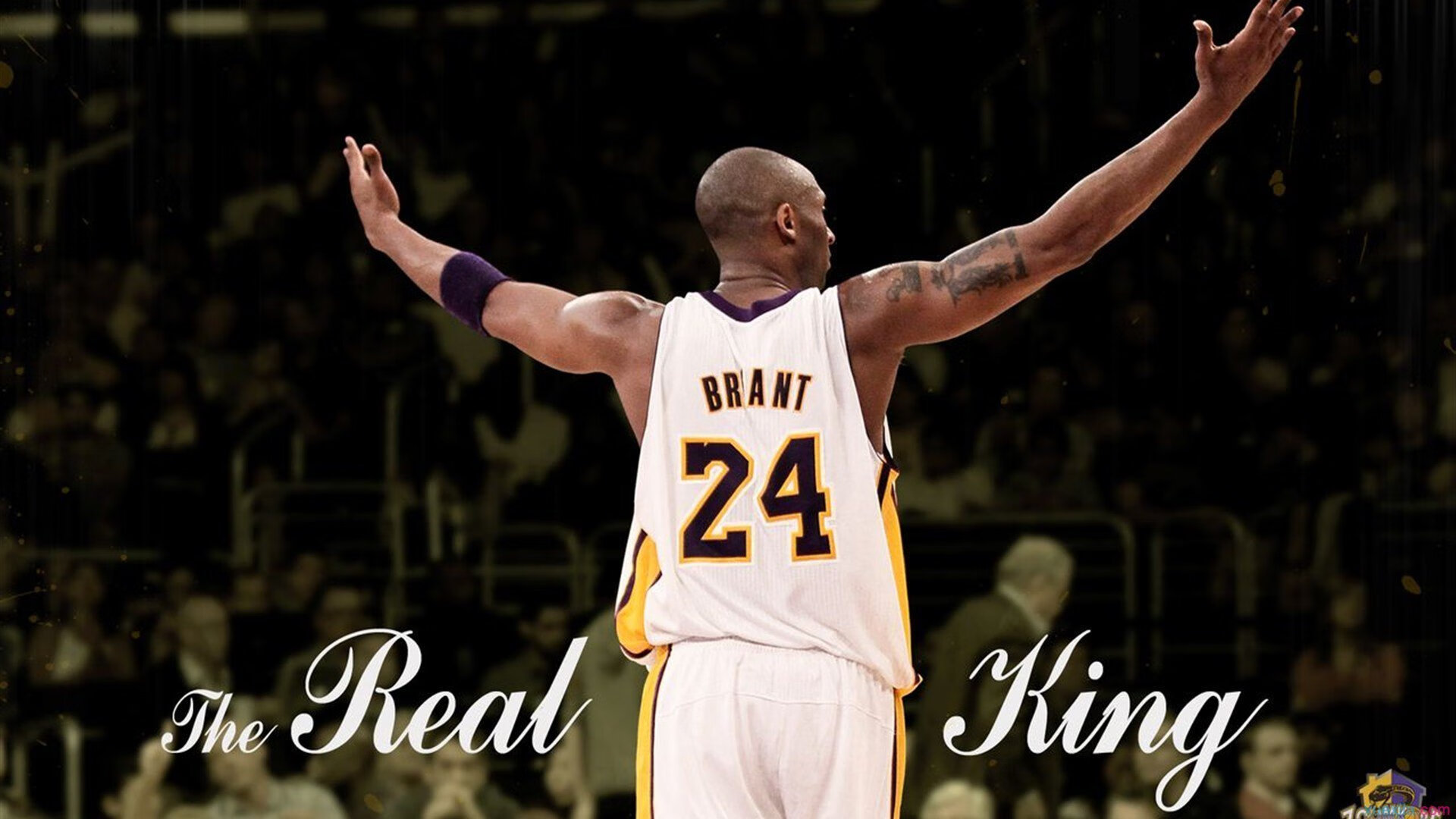 开云体育在线-赛道之巅，拉梅洛的王者之夜，如何用轮胎与意志改写F1历史